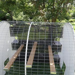Coop roosting boards