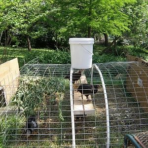 Watering module