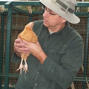 One of my packing peanuts and I having a talk about her needing to be a hen and not a rooster.