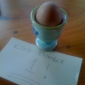 My first ever backyard egg!!
