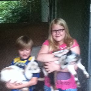 Harrison (left) holding Daisy and Savannah (right) holding Peach. The day after we got our little babies :)