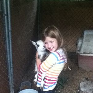 Genevieve holding Peach. The day after we got them, so loveable and small. Now they're fat and fluffy! They liked to lick you on your face and nibble on your fingers :D