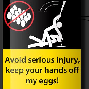 Eggs-***-Whoop.jpg