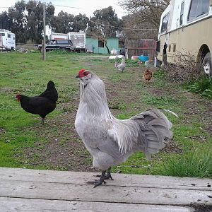 2012-02-29-2