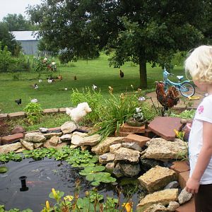 The Pond