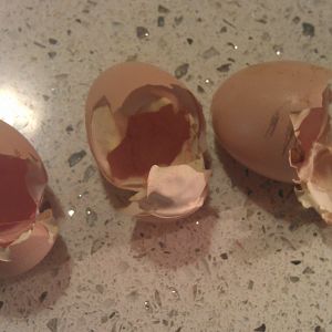 3 egg shells..