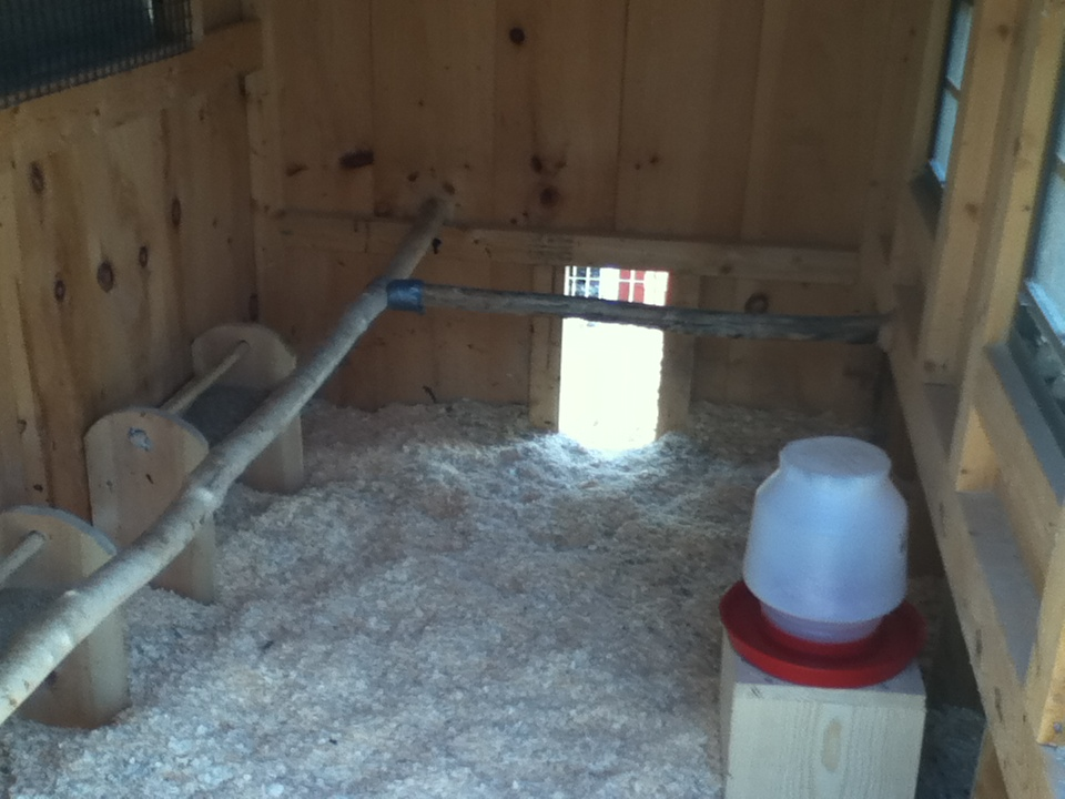 This is a pic of the inside of the coop. As it turns out, I have no pics of the outside or pen, so I will take some tomorrow and put them up. Btw, in the magazines, this coop says it can hold 12-15 chickens.