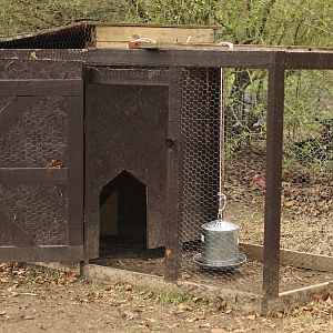 Chicken Coop, based on a brooder design here at BYC.