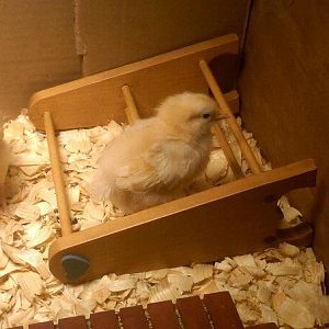 finally! she figured it out..