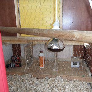 Coop interior.