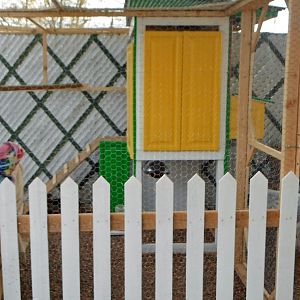 Front of coop.