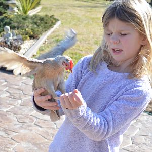 Alina with toast.ying to get a good wing exercise in