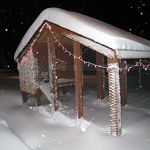 snow and lights on the coop! don't worry they have a heater pad...
