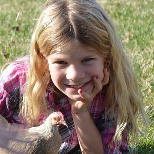 toast in the front yard
