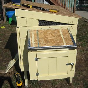 March 12 -- showing tin on nest box