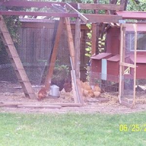 The finished (mostly) new coop and run.