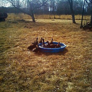 Hey lets all get in!!