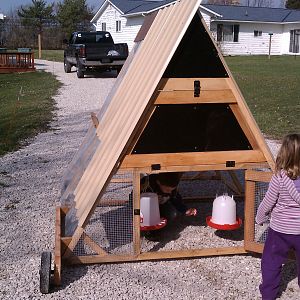 chicken tractor