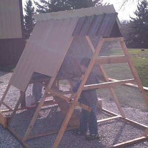 my chicken tractor I just finished it