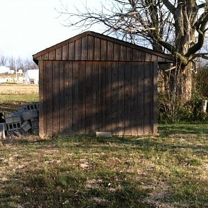 Side of the Shed