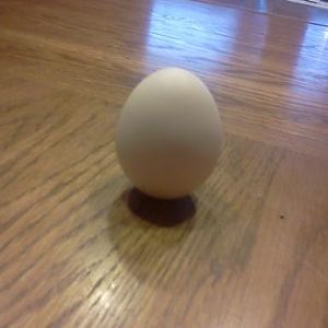 Spring Equinox egg