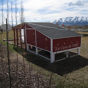 Coop # 2 after expansion