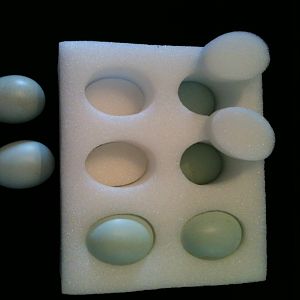 foam double