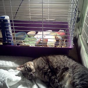 but only because there is a heat lamp