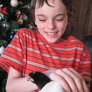 Jordan and Bandit