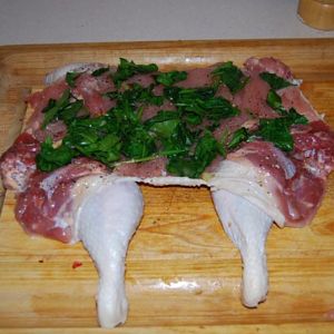spinach lining.jpg