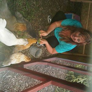They love it when I pick the grass and hand feed them.  They think they are getting something special.  LOL