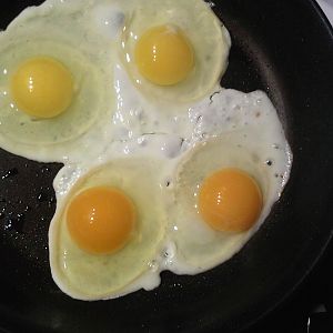 The top eggs are organic, cage free, expensive store bought eggs.  the bottom eggs are organic, cage free, home grown VERY expensive eggs, and worth every penny!