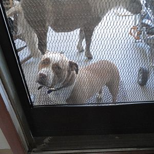 "Get me away from her!"