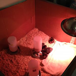 Their little home