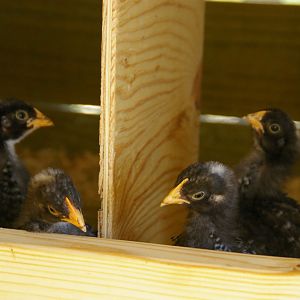 checking out the new digs.