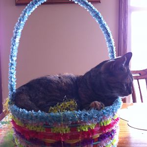 jessie in the easter egg basket