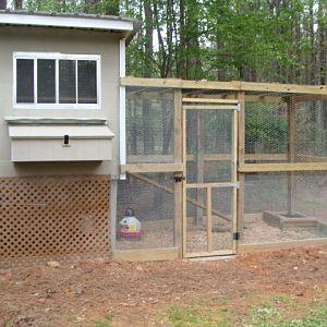 new coop ready for the 6 girls