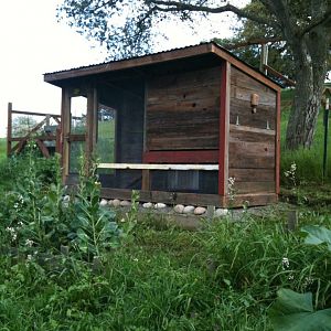My first coop on day of delivery.  Built by Michael and Dana of My Urban Farm in Petaluma, CA (http://myurbanfarm.net).