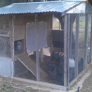 This chicken coop is 4 years old and desperately needs a coat of paint, but it is 3 stories with a place on the bottom in the back to introduce new chickens to the flock.  It has two big coops which is the third floor, notice the little framed door on the side where we can collect the eggs.  The other big coop can be accessed from inside the house.  The big door on the inside opens the coop up completely for cleaning.  We put plastic on this door and around the bottom in the beginning of winter and use a heat lamp inside the coop.  If it gets below 20 we put plastic around the entire coop. Boy does it get smelly.