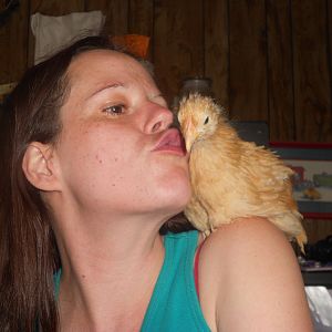 Erin and Goldylocks. i guess beauty is in the eye of the beholder