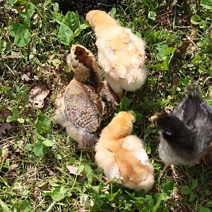 First time outside. April 1, 2012