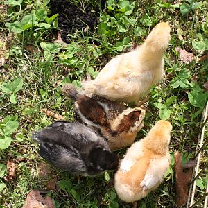 First time outside. April 1, 2012