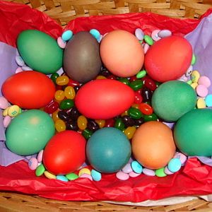 Eggs gone Easter!
