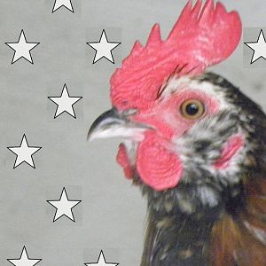 Craz e Laid e Prince Poppycock