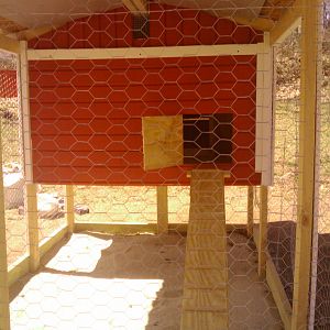 chick ramp