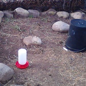 the little girls outside run( the bucket is our chair)