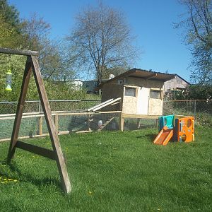 main coop and the run