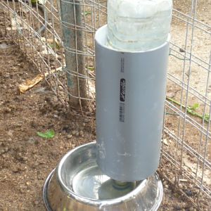 Stainless steel dish with bottle