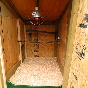 We found sticks from the yard to use as roosts and added the heat lamp for the wee ones