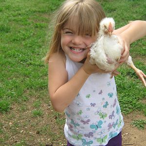 Our four year old Erika with one of our mystery chicks.